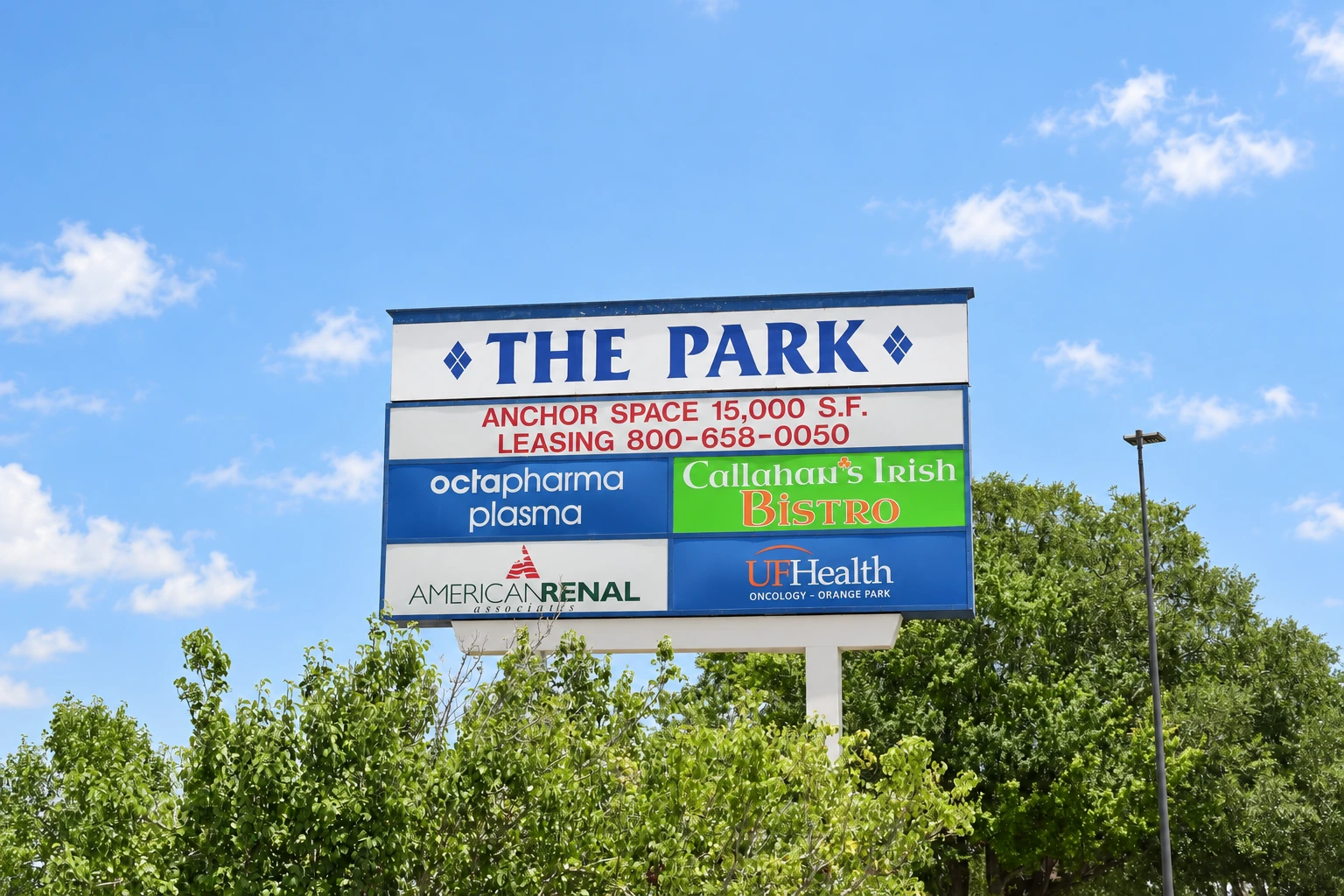The Park 7